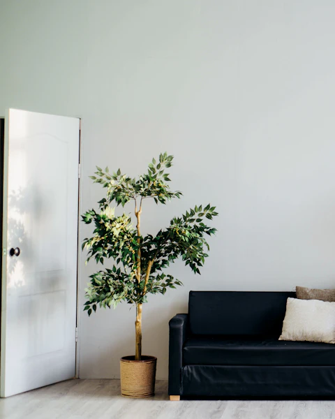 Bright, minimal living room with a plant and lamp